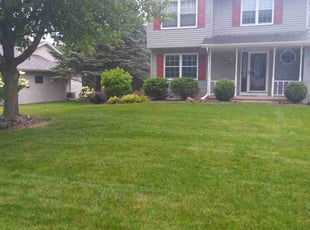Julie R.'s lawn maintenance service result
