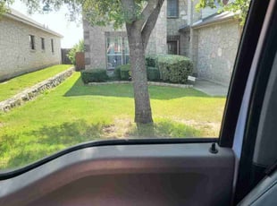 Erika P.'s turf maintenance service result