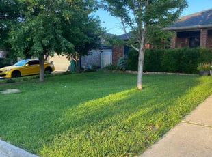 Tom S.'s lawn maintenance service result