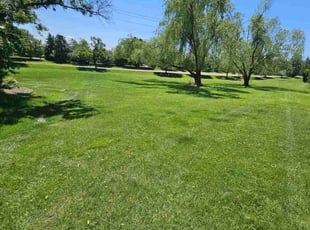 Vincent W.'s grass cutting service result