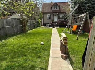 Vernona B.'s lawn care service result
