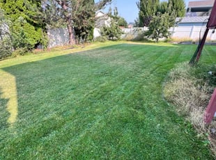 Jamie D.'s lawn care services service result