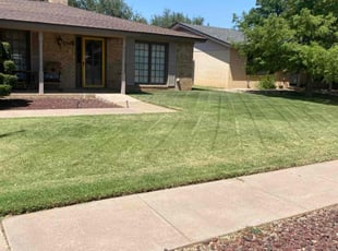 Tammy C.'s lawn care services service result