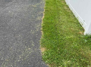Summer D.'s lawn care services service result