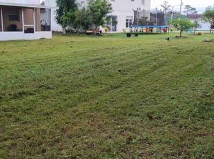 Jennifer L.'s lawn maintenance service result