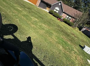 Mindy F.'s grass cutting service result