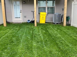 Temi B.'s grass cutting service result