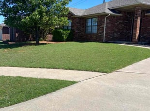 Elaine B.'s grass maintenance service result