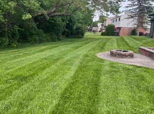 "Cheryl P.'s turf maintenance service result