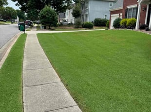 Michael S.'s lawn maintenance service result