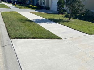 Brandon B.'s grass cutting service result