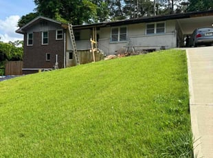 Victoria C.'s grass maintenance service result