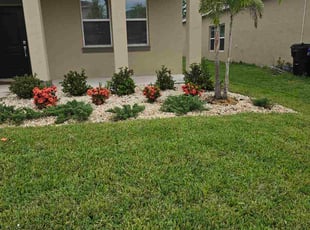 Eniola D.'s Flower Bed Weeding service result