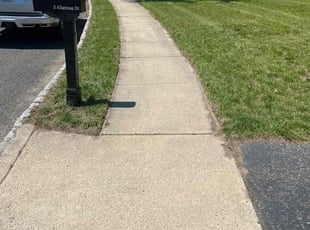 Daniel G.'s lawn service service result