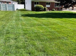 Charles G.'s lawn care service result