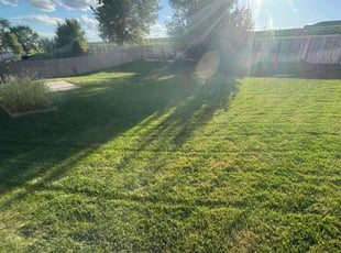 Alex K.'s grass maintenance service result