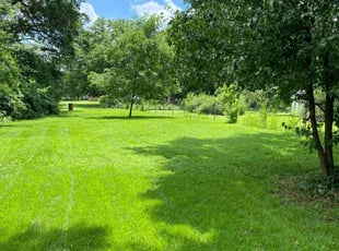 Bailey C.'s lawn care services service result