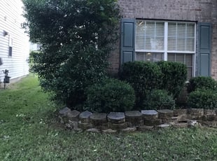 Latonya O.'s Bush Trimming service result
