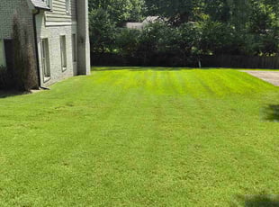 Liang Y.'s grass maintenance service result
