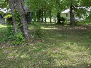 Evan N.'s turf maintenance service result