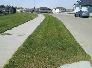 Bridget S.'s lawn maintenance service result