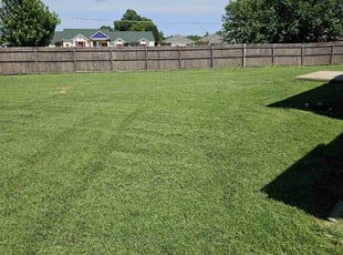 Eric M.'s grass maintenance service result