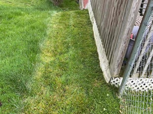 John N.'s lawn service service result