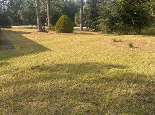 James D.'s lawn maintenance service result