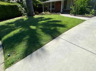 Audrey K.'s turf maintenance service result