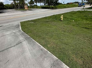 Angela K.'s lawn service service result