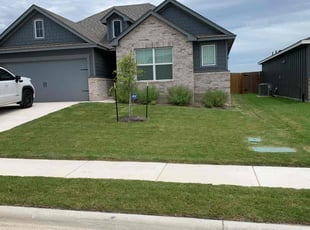 Ravi S.'s lawn service service result