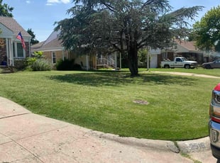 Debra R.'s lawn service service result