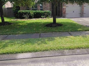 Kim T.'s lawn maintenance service result
