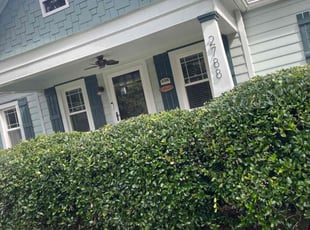 Angela L.'s Bush Trimming service result