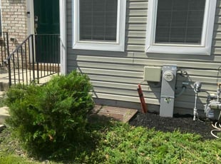 Dana D.'s Bush Trimming service result