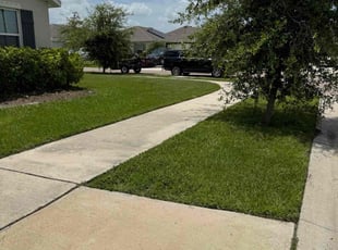 Kevin H.'s lawn service service result