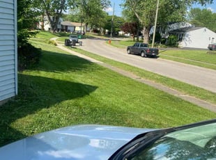 Anthony C.'s lawn care service result