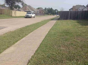 Julian W.'s lawn maintenance service result