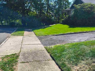 Steven F.'s grass maintenance service result