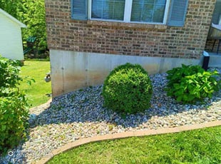 John D.'s Bush Trimming service result