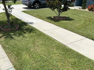 George R.'s grass cutting service result
