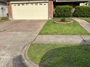 Lloyd A.'s grass cutting service result