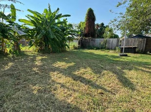 Harlan M.'s lawn care service result