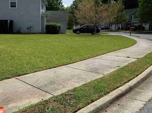 Bruce B.'s grass cutting service result