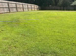 Jasmine J.'s turf maintenance service result