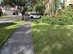 Sheryl M.'s grass cutting service result