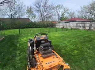Andrea R.'s grass cutting service result