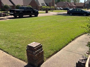 Quindetta B.'s lawn service service result