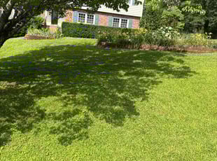Deborah S.'s turf maintenance service result