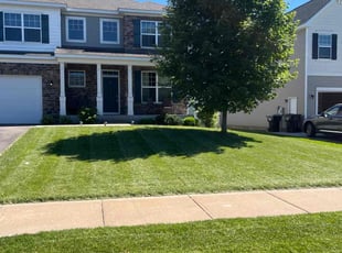 Austin S.'s lawn service service result